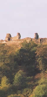 Ruins of Montgomery Castle